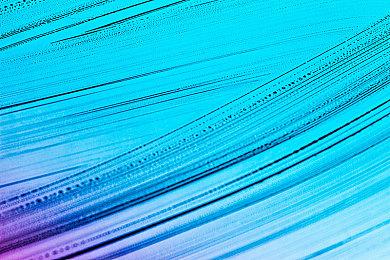 游戏圈玄学？老外独游开发者跟风15秒全力宣传